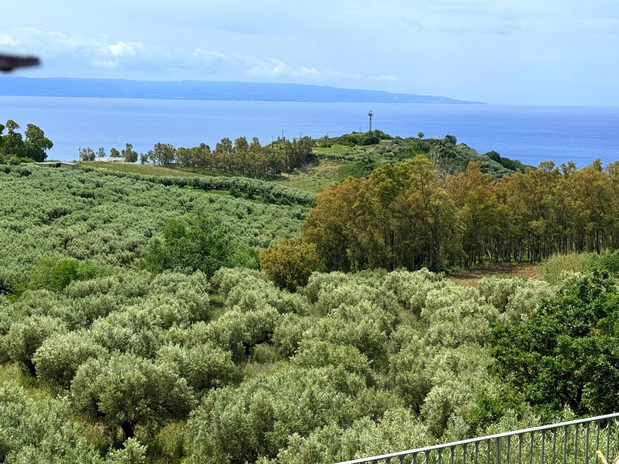 Casale Calabria Bed & Breakfast Gizzeria Exterior foto